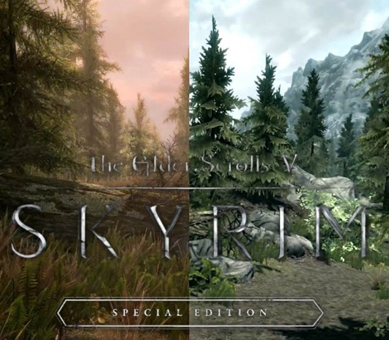 The Elder Scrolls V: Skyrim Special Edition cover art