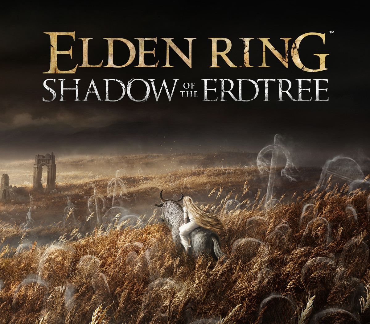 ELDEN RING - Shadow of the Erdtree DLC EU PS4/PS5 cover art