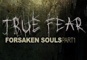 True Fear: Forsaken Souls cover art