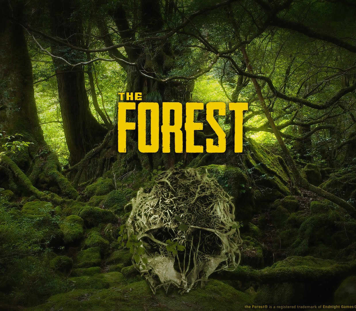 The Forest cover art