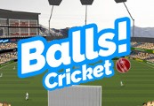 Balls! Virtual Reality Cricket cover art