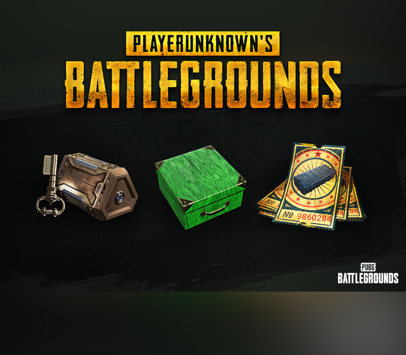 PUBG Battlegrounds - 2024 Exclusive Survivor Pack #2 DLC cover art