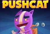 Pushcat cover art