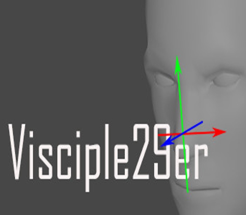 Visciple29er cover art